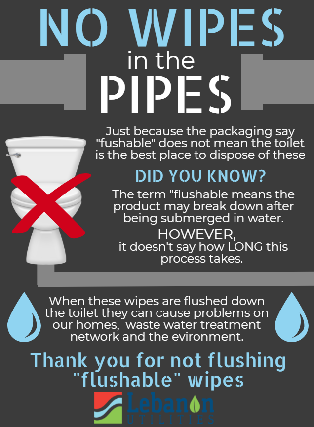 Flushable wipe infographic