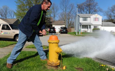 Why Do We Flush the Hydrants?